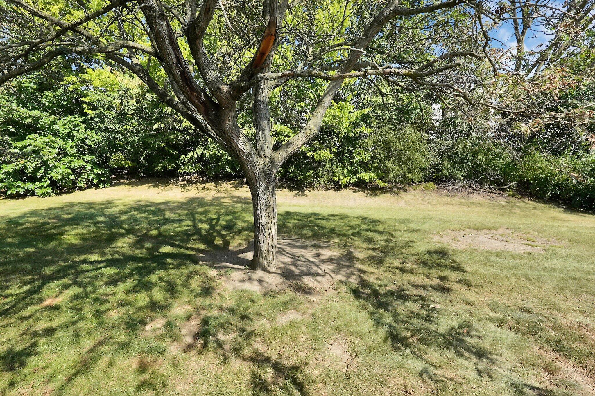 4722 Parrau Drive, 58D