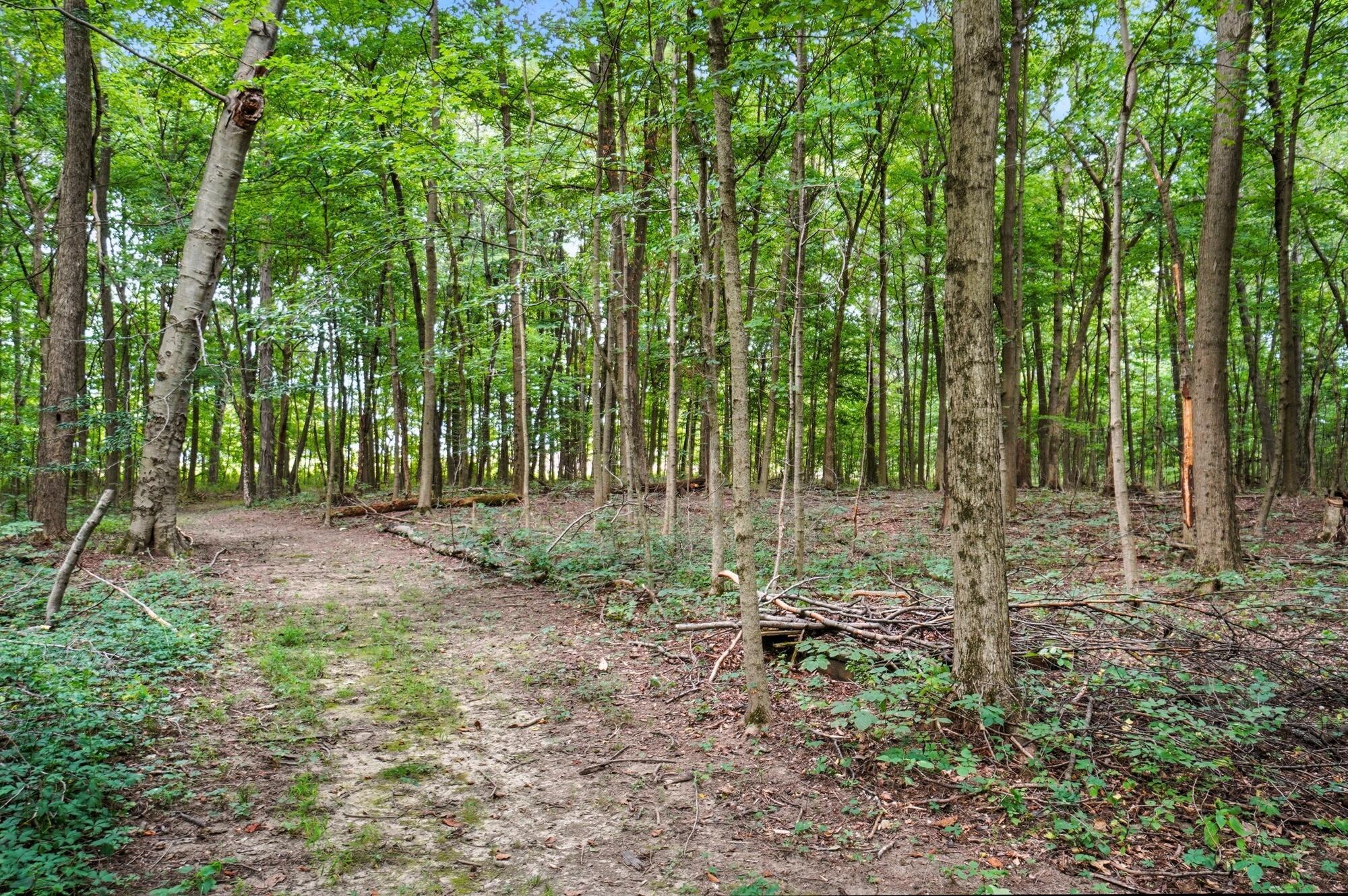 6701 Miller Paul Road