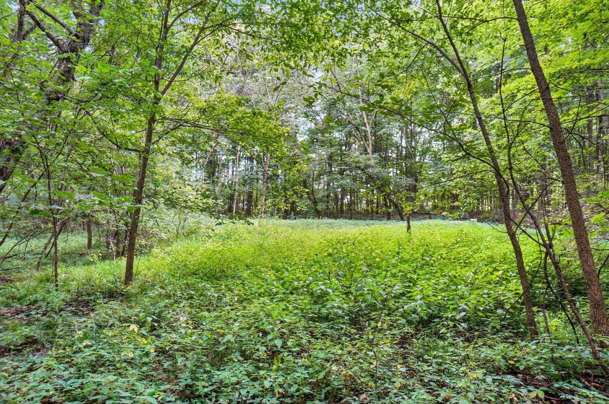 6701 Miller Paul Road