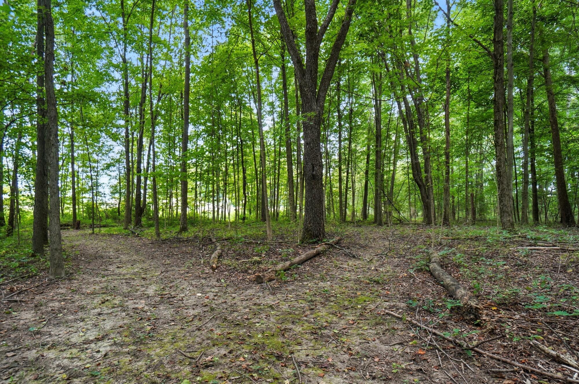 6701 Miller Paul Road