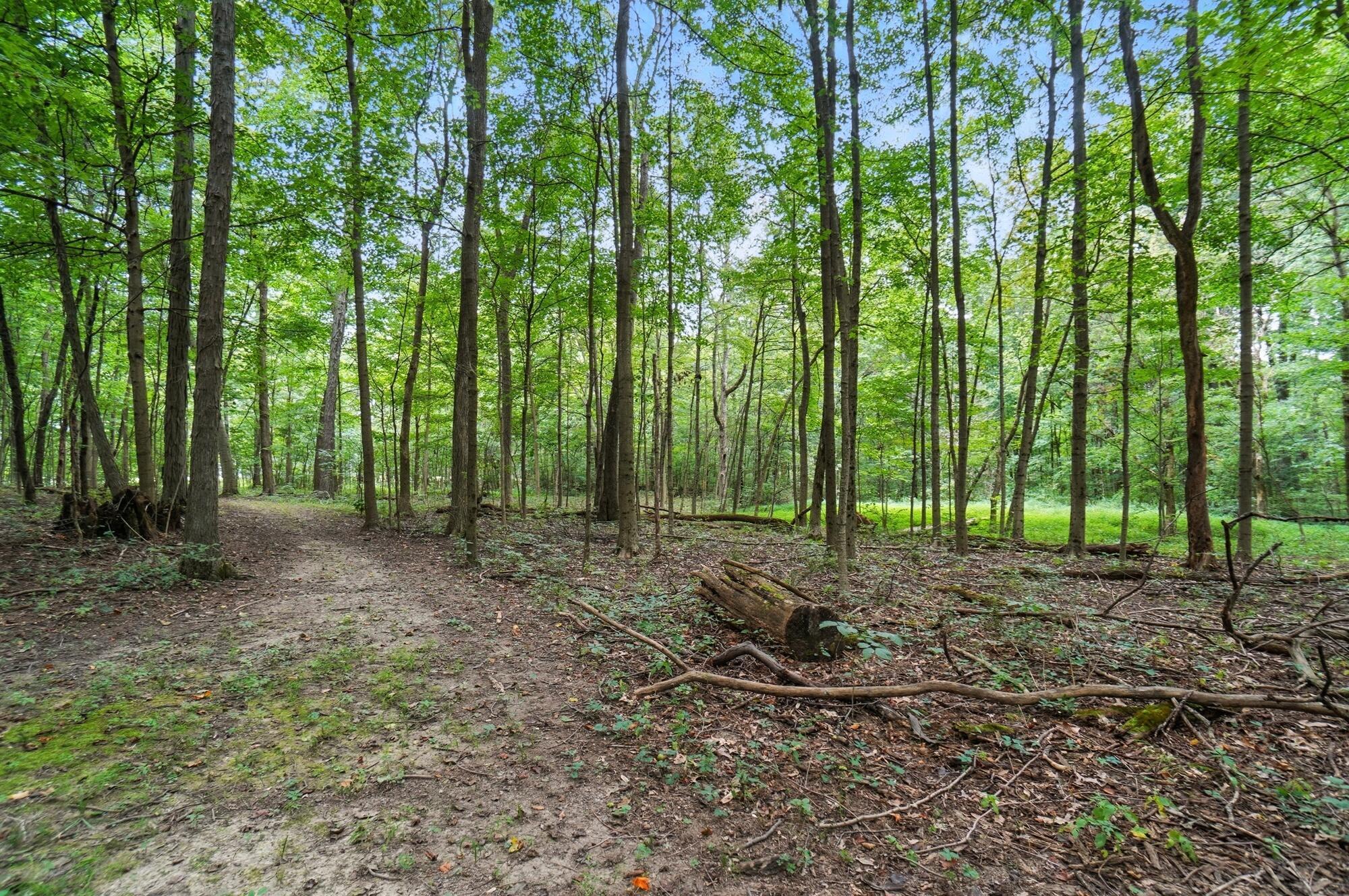 6701 Miller Paul Road