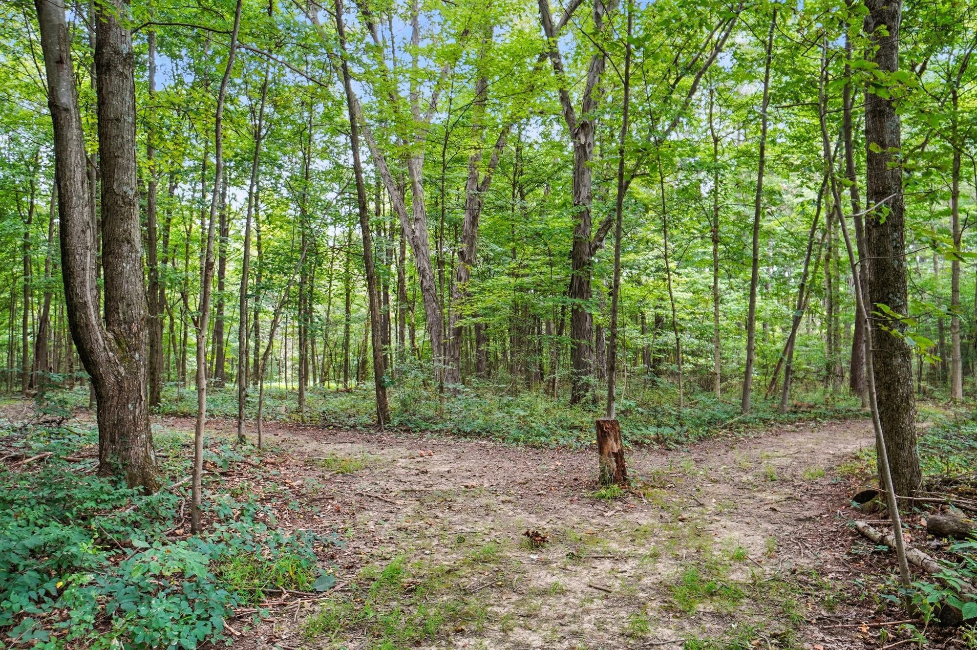 6701 Miller Paul Road