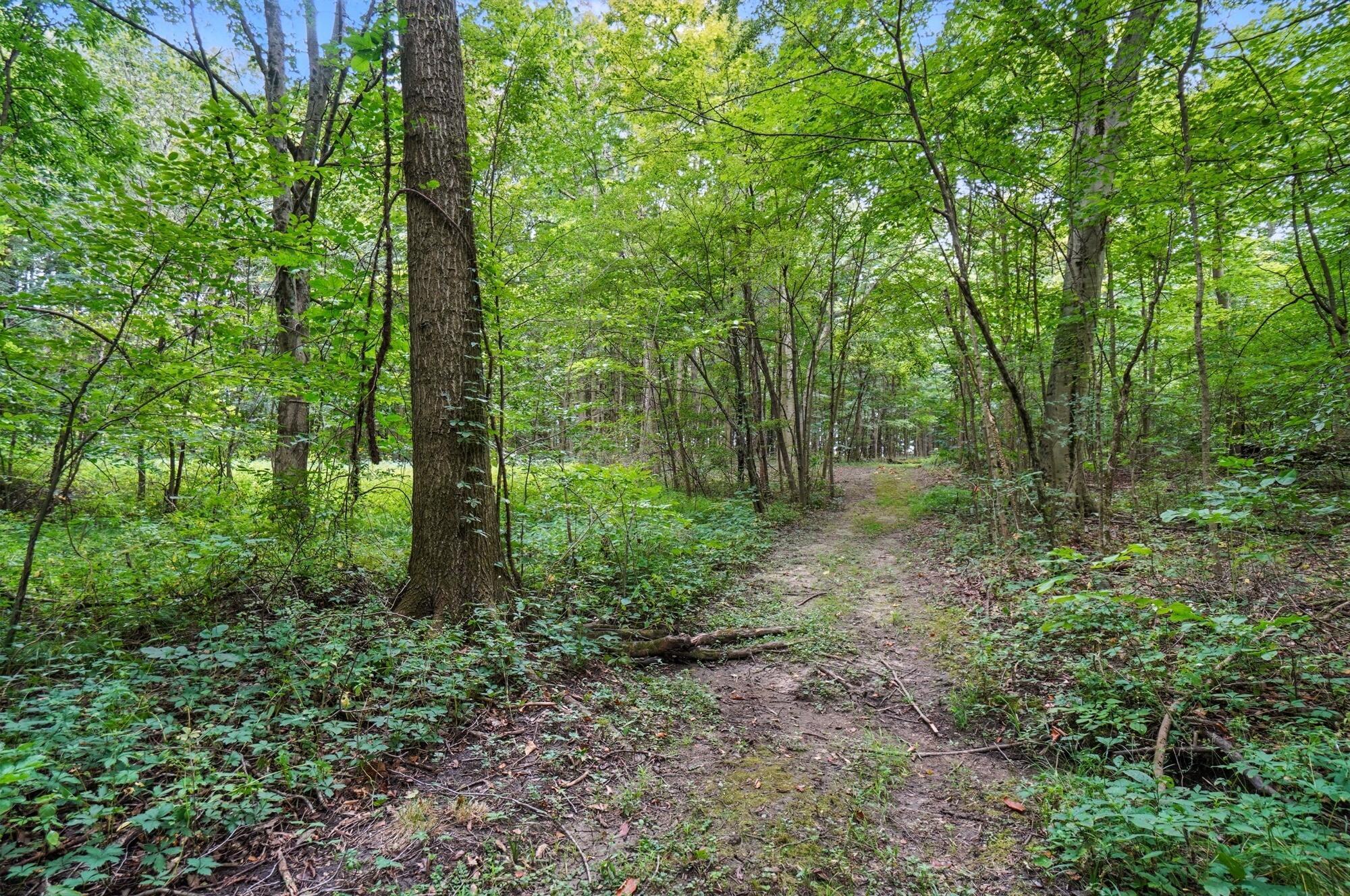 6701 Miller Paul Road