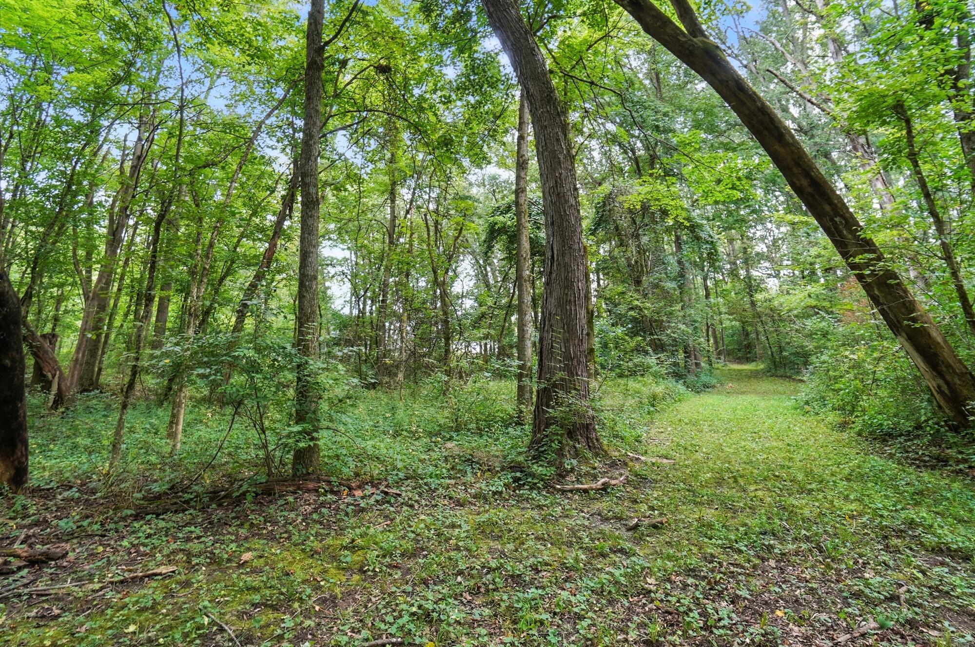 6701 Miller Paul Road