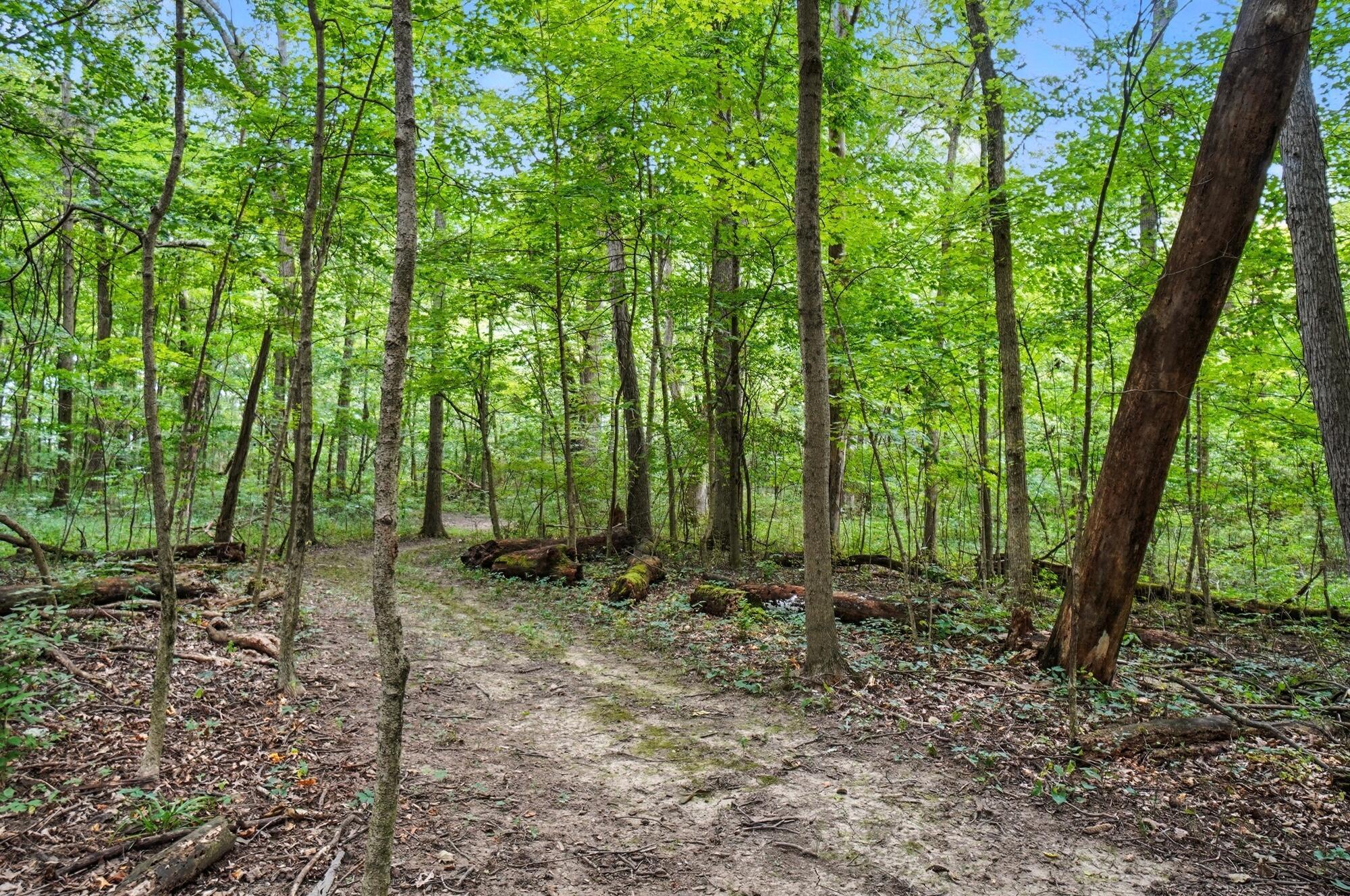 6701 Miller Paul Road