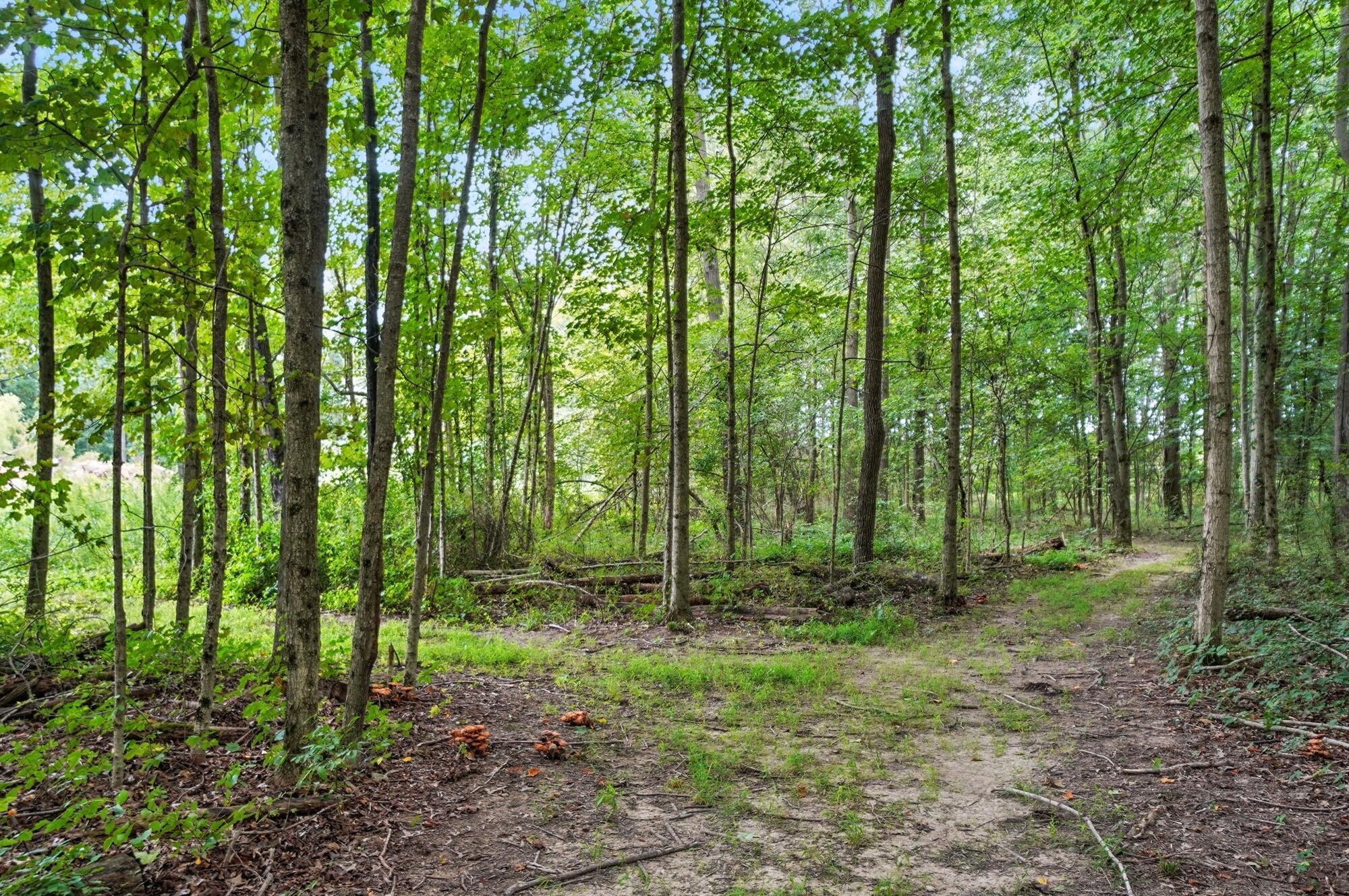 6701 Miller Paul Road