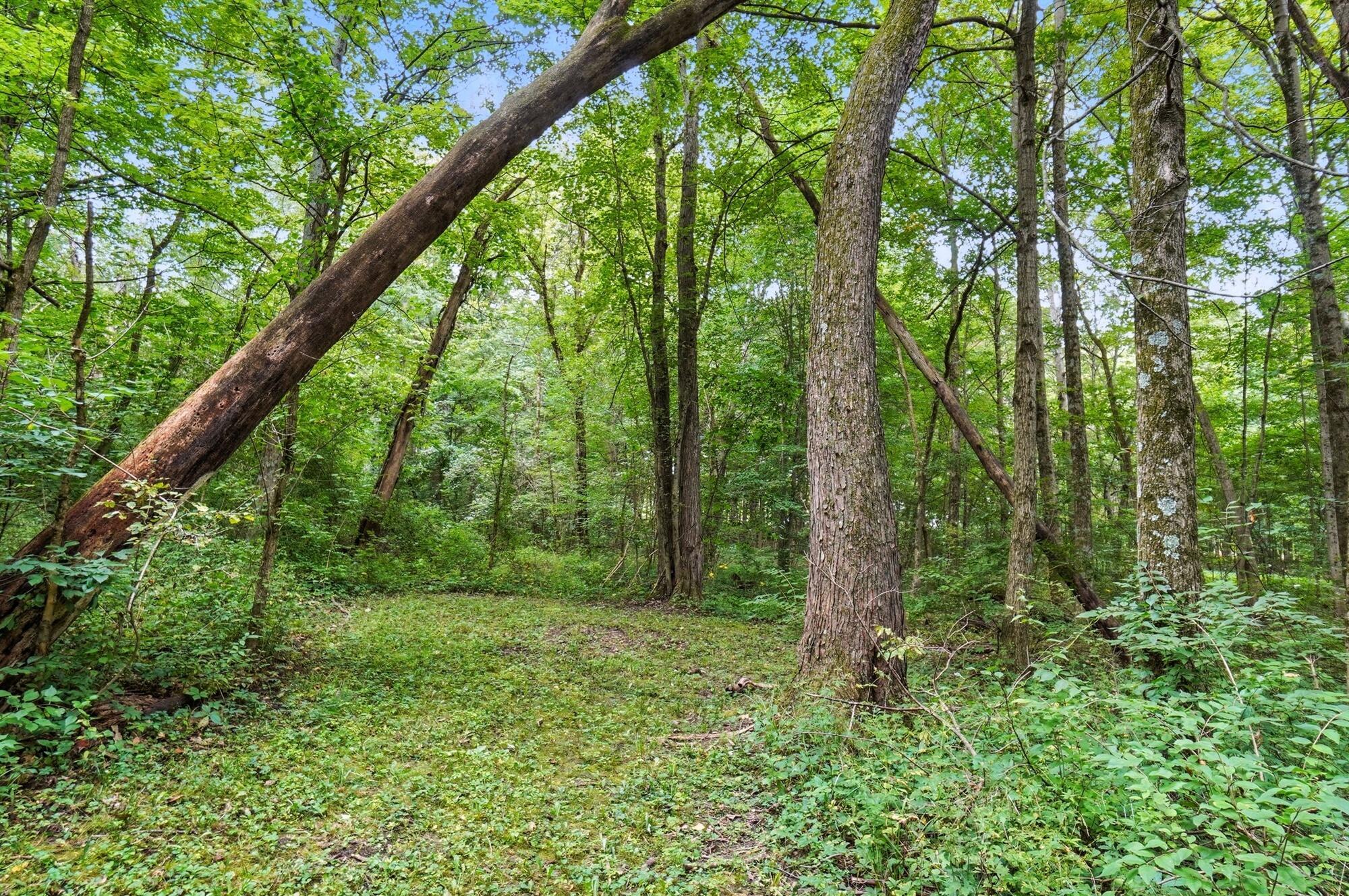 6701 Miller Paul Road