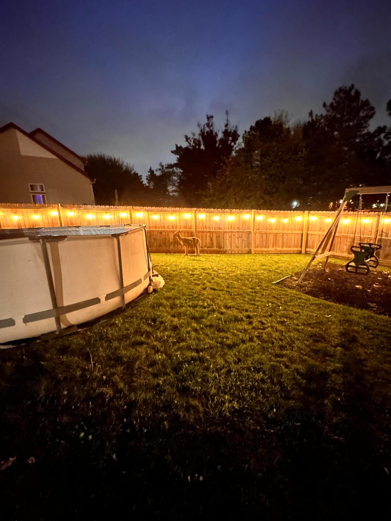 155 Blue Spruce Court