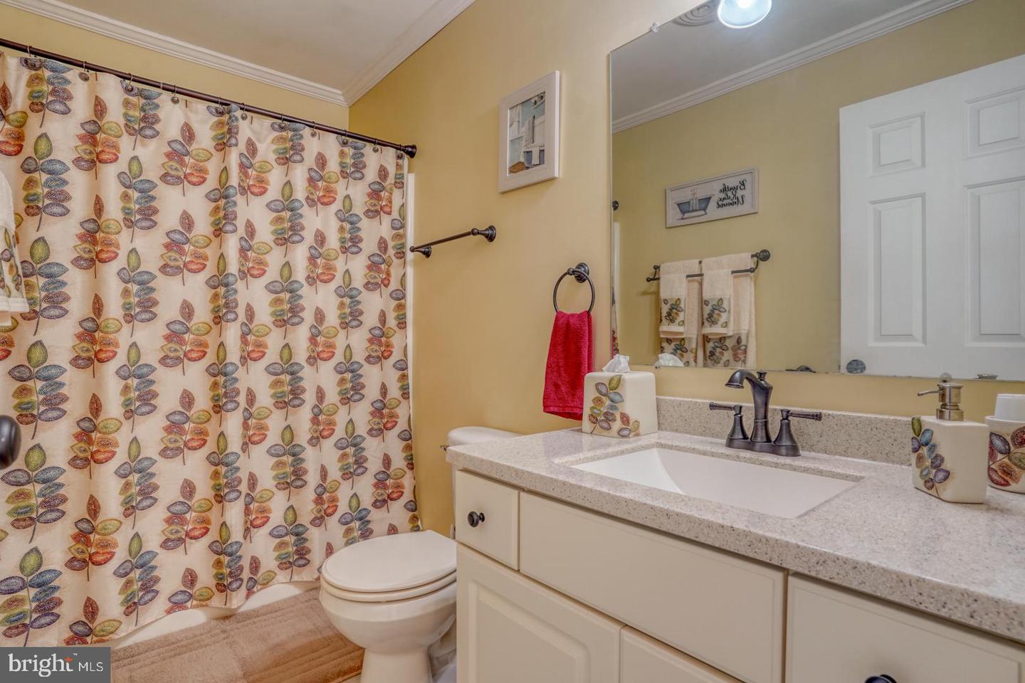 352 Chestnut Ridge Dr