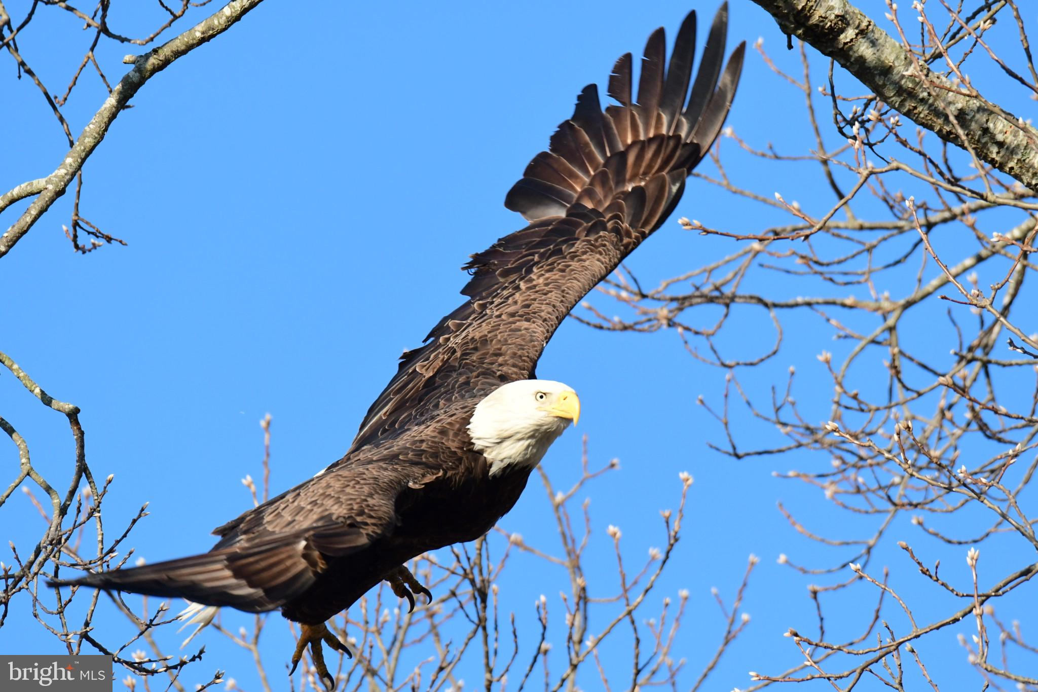 30019 Eagle Point Dr #2d