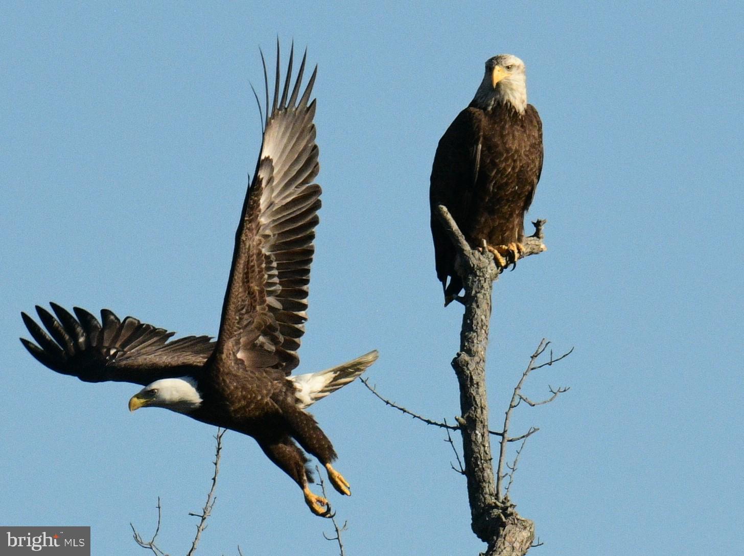 30019 Eagle Point Dr #2d