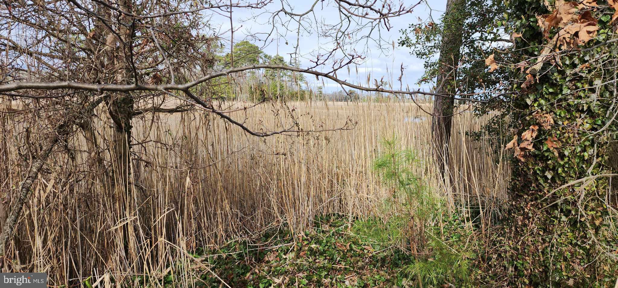 26203 Schooner Ln #53359