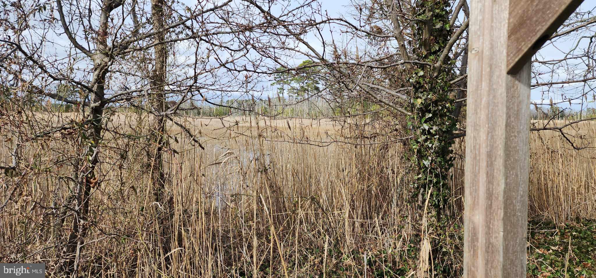 26203 Schooner Ln #53359