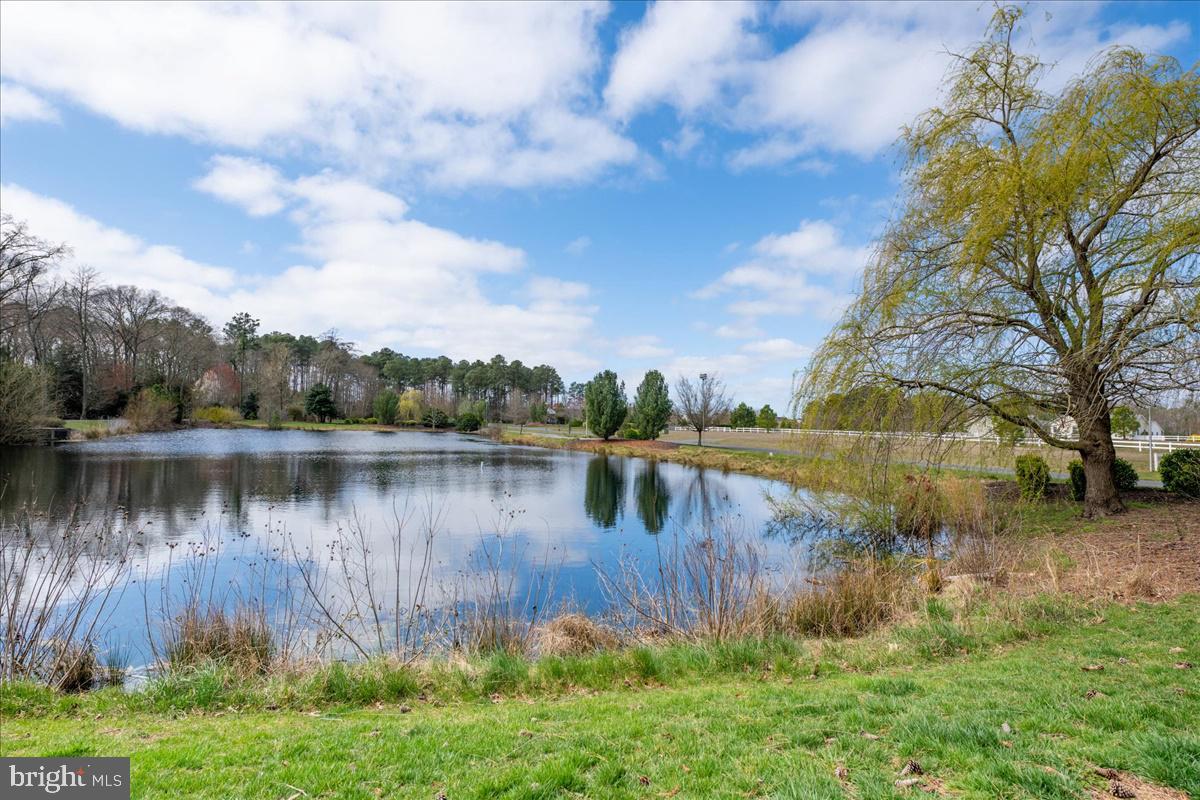 33612 Lakeshore Cir #47936