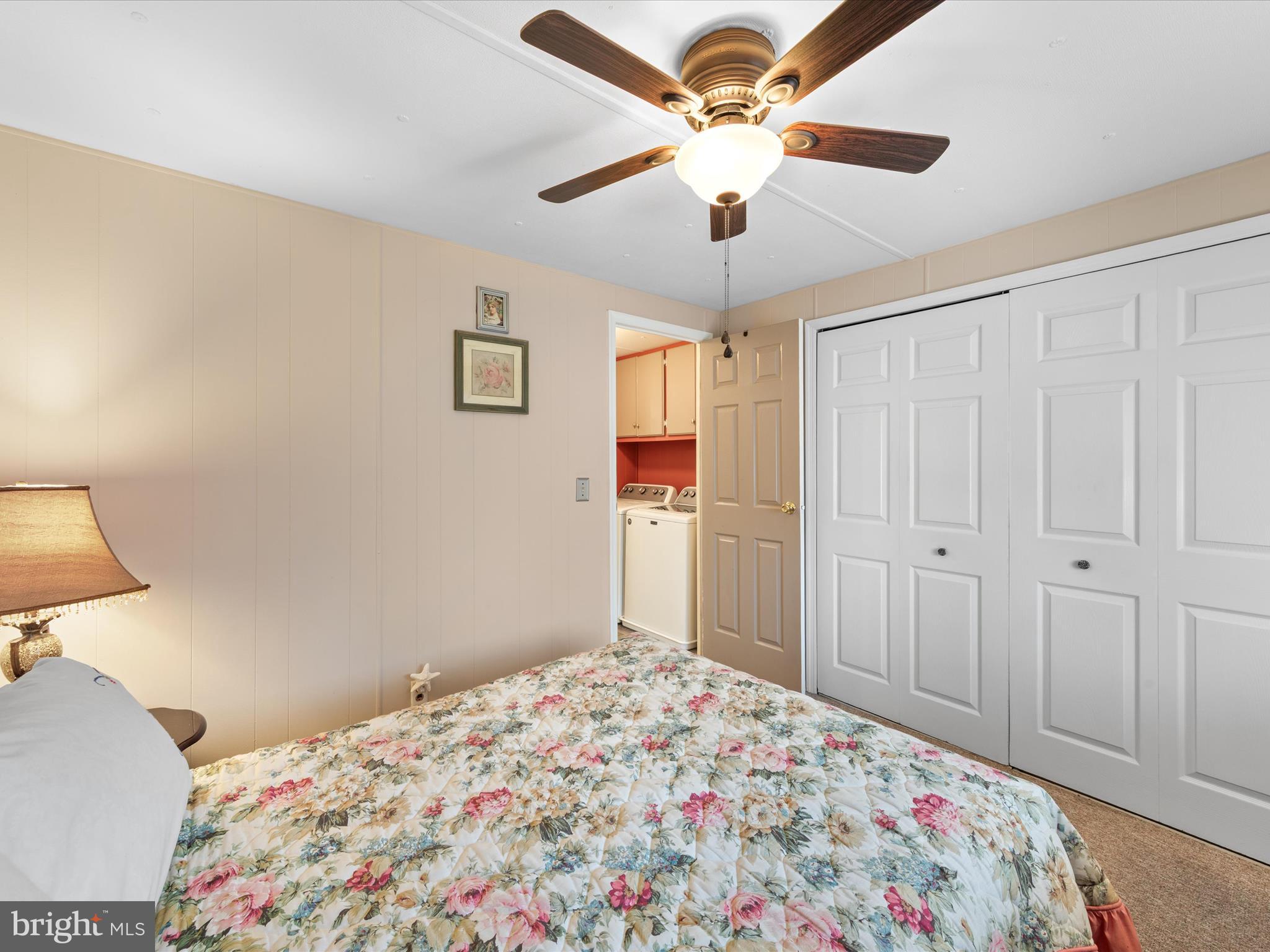 33442 BUTTERCUP STREET