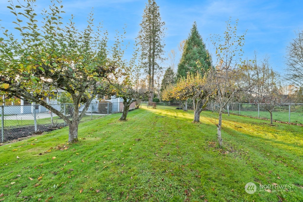 16303 Roosevelt Road