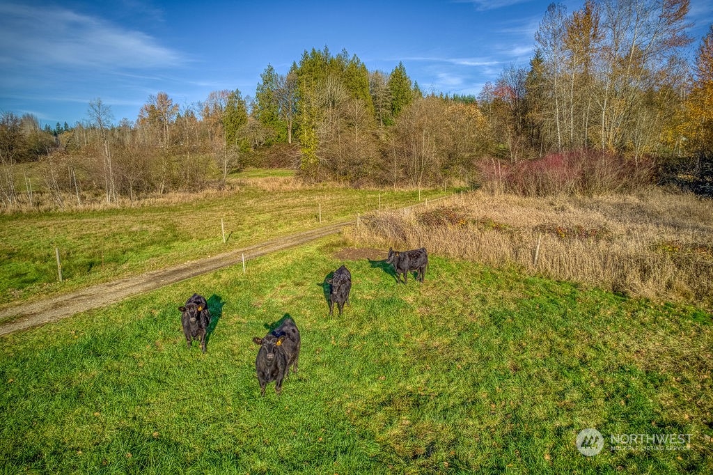 16303 Roosevelt Road