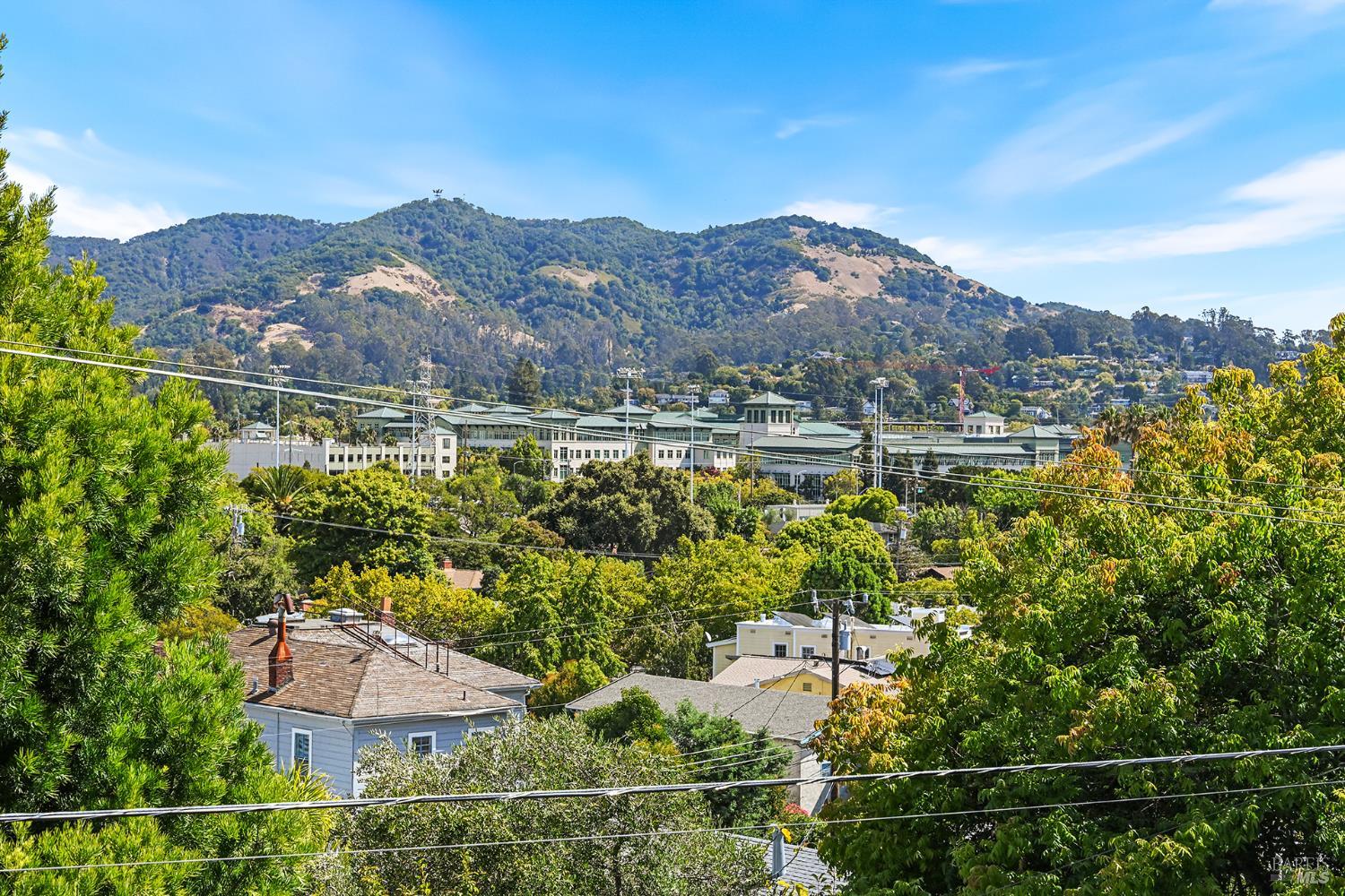 56 Martens Boulevard