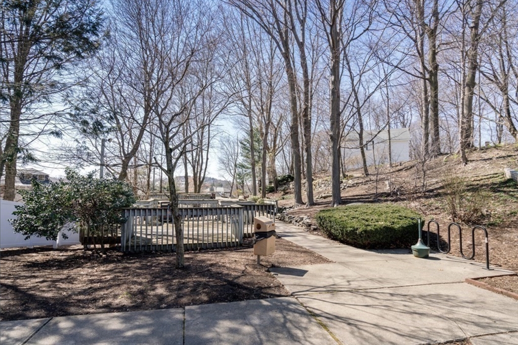 99 Chestnut Hill Ave # 321