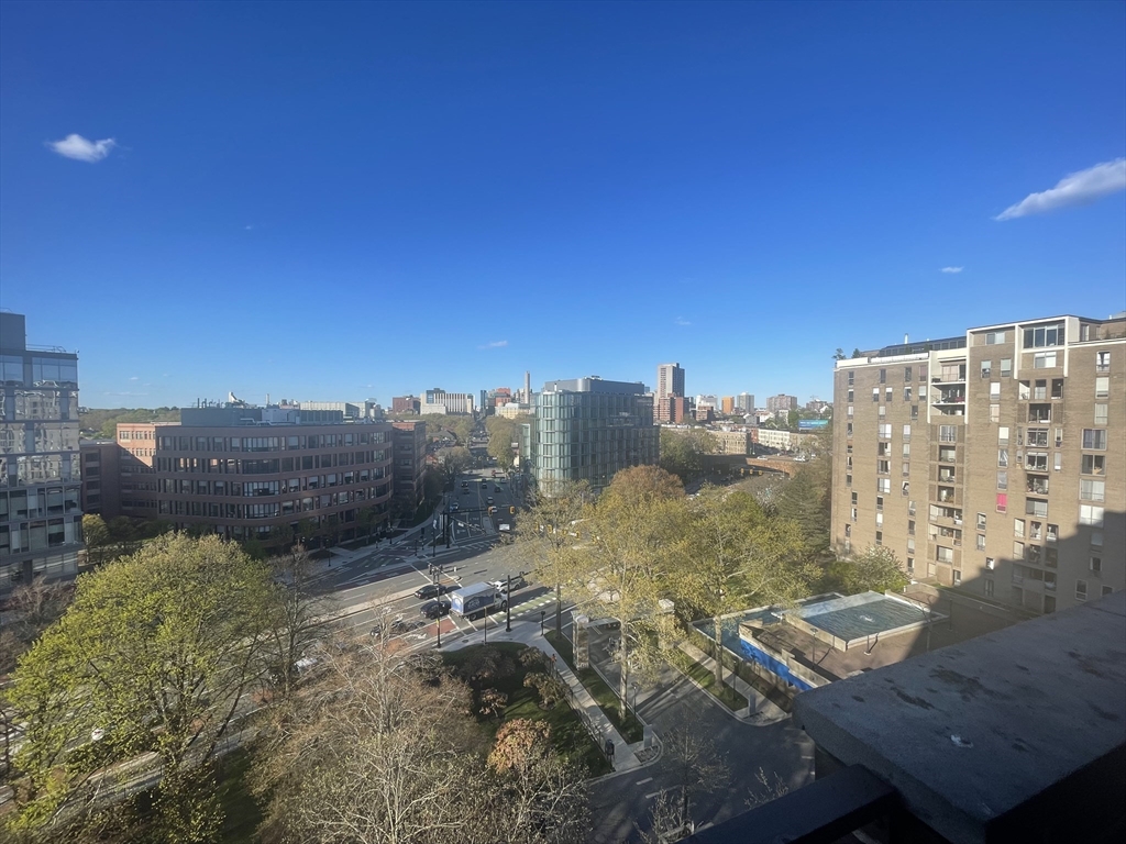 44 Washington # 1009