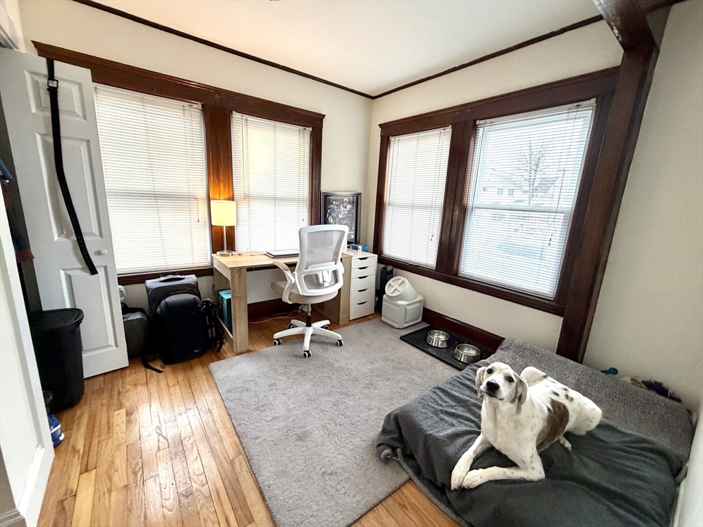 3 Goldsmith Ave # 1