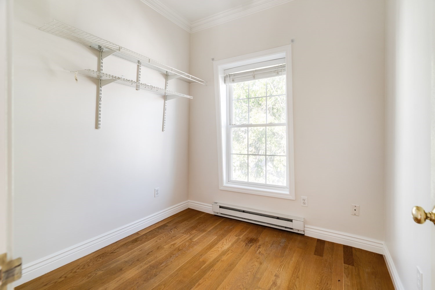 47 Moseley St # 3