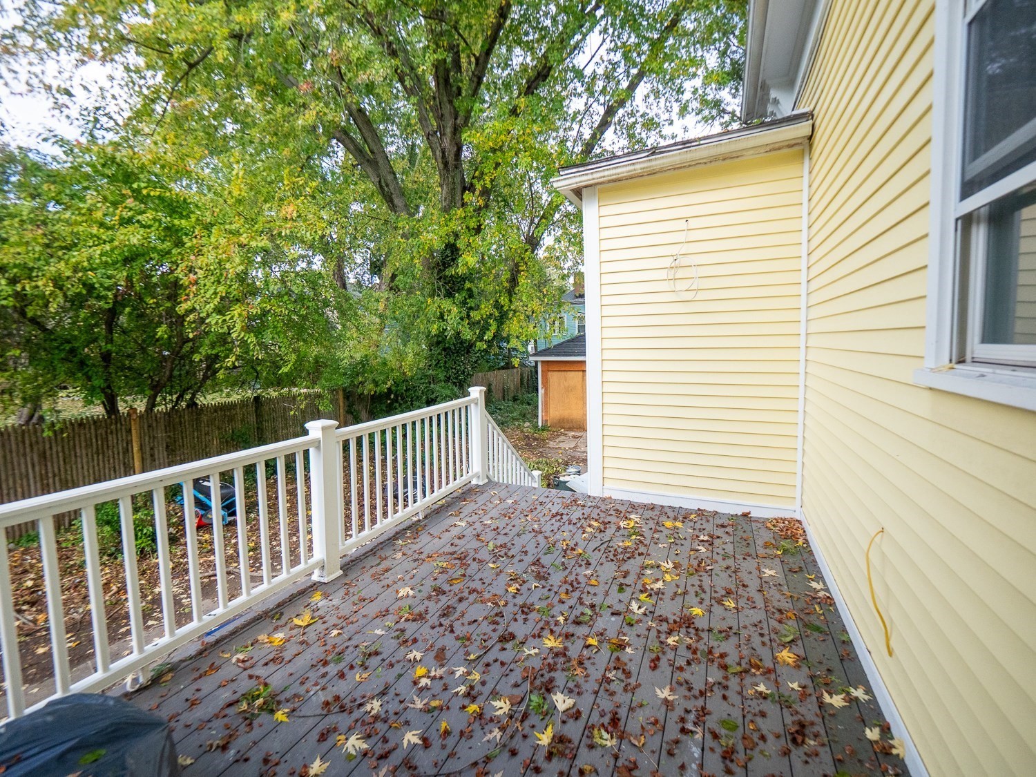 62 Welles Ave