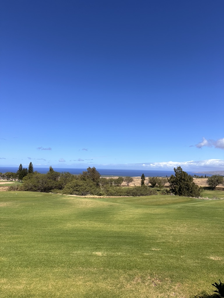 68-1761 MELIA ST F109FL1