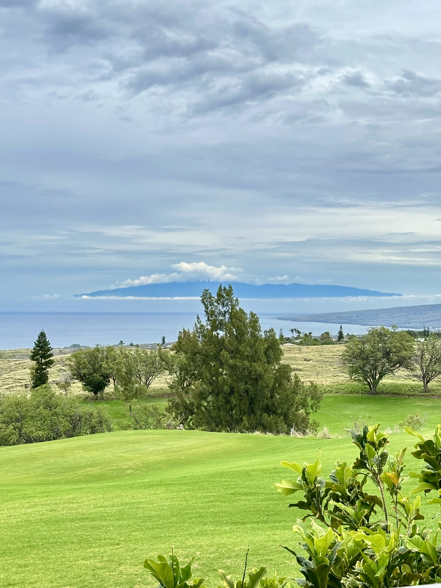 68-1761 MELIA ST F109FL1