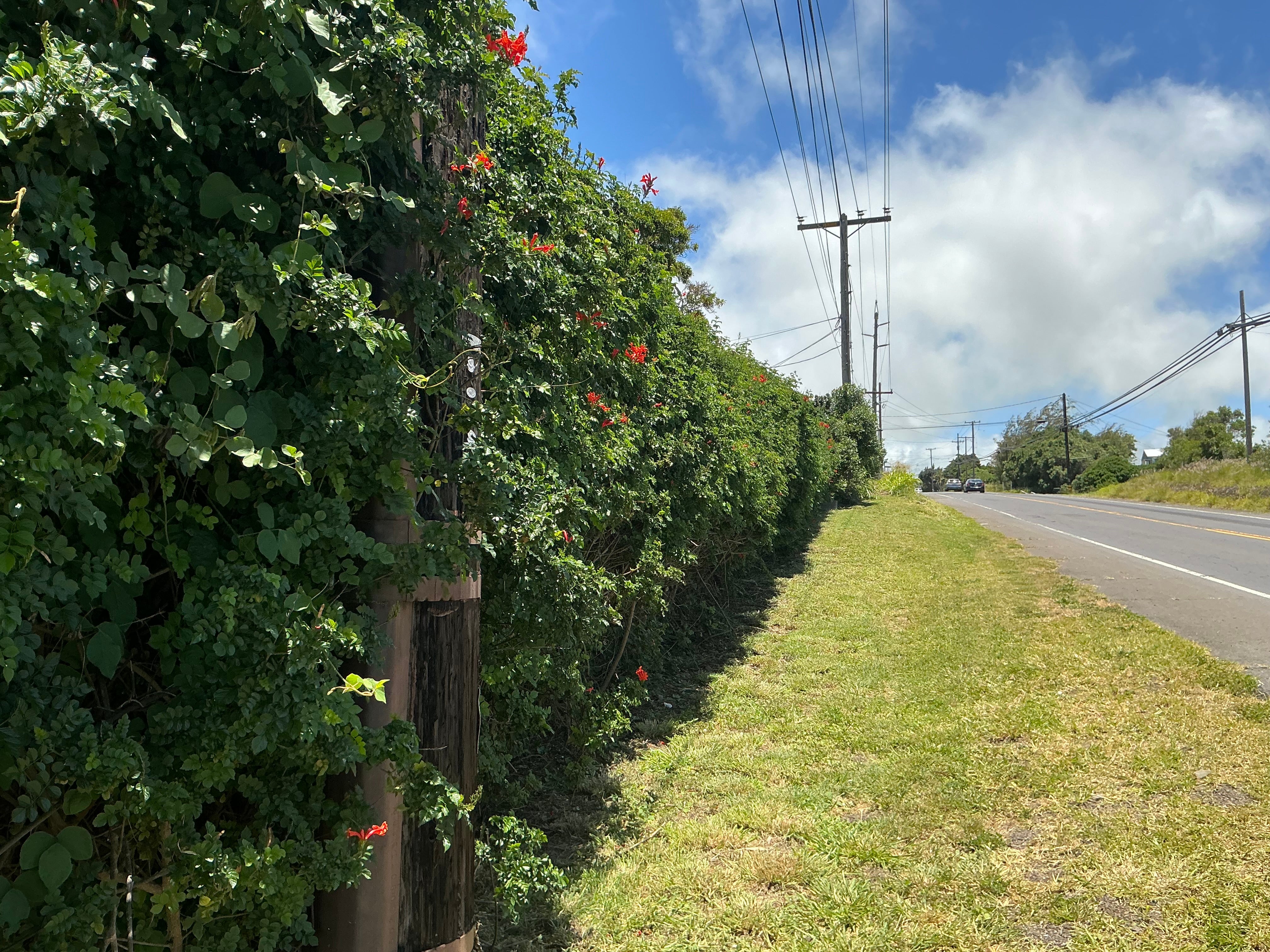 66-1730 KAWAIHAE RD