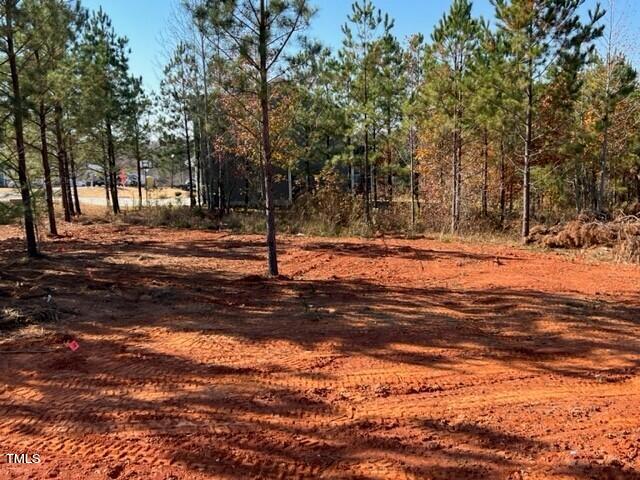 6724 Winter Garden Way