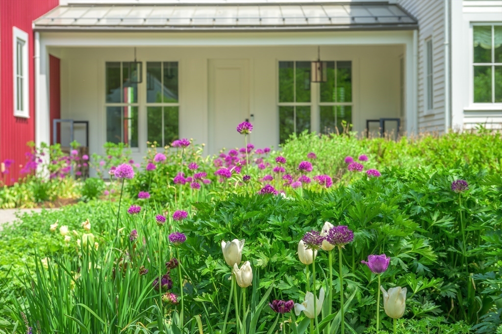 163 Nagog Hill Rd, Acton