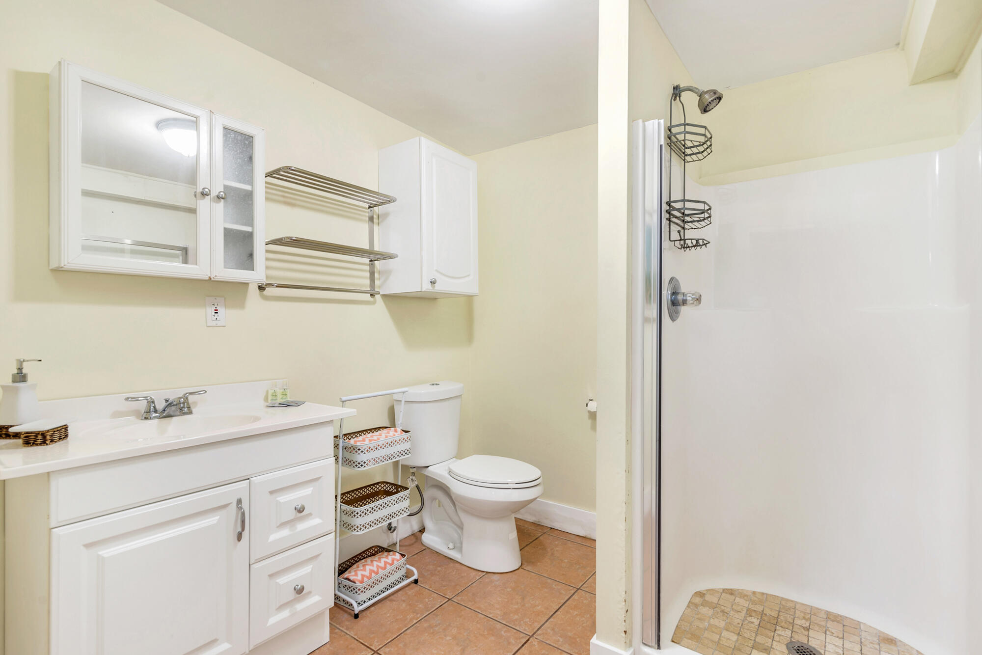 Bathroom with a white vanity, toilet, and walk-in shower with a tiled floor.