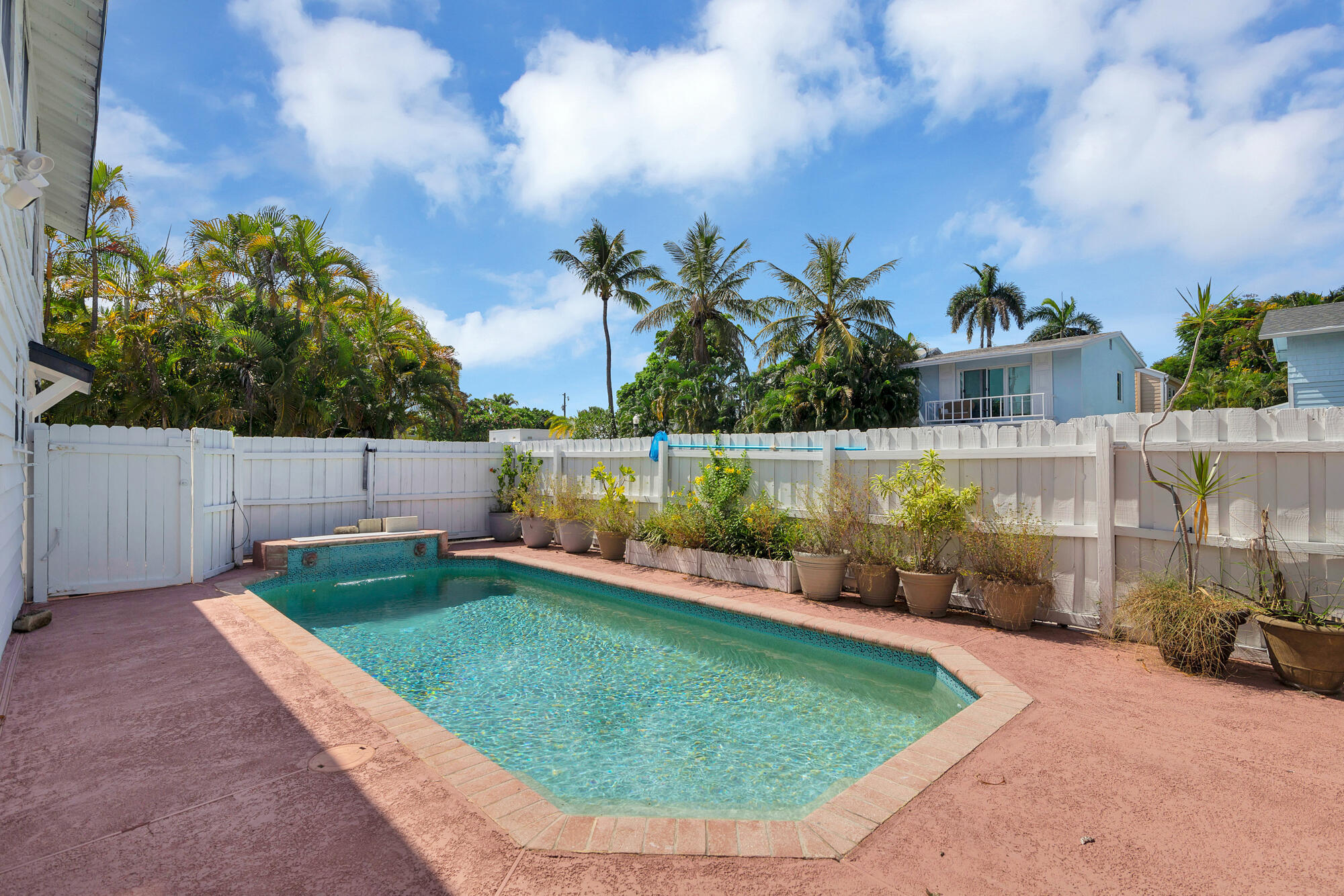 Backyard swimming pool bordered by a white fence and potted tropical plants beneath palm trees.