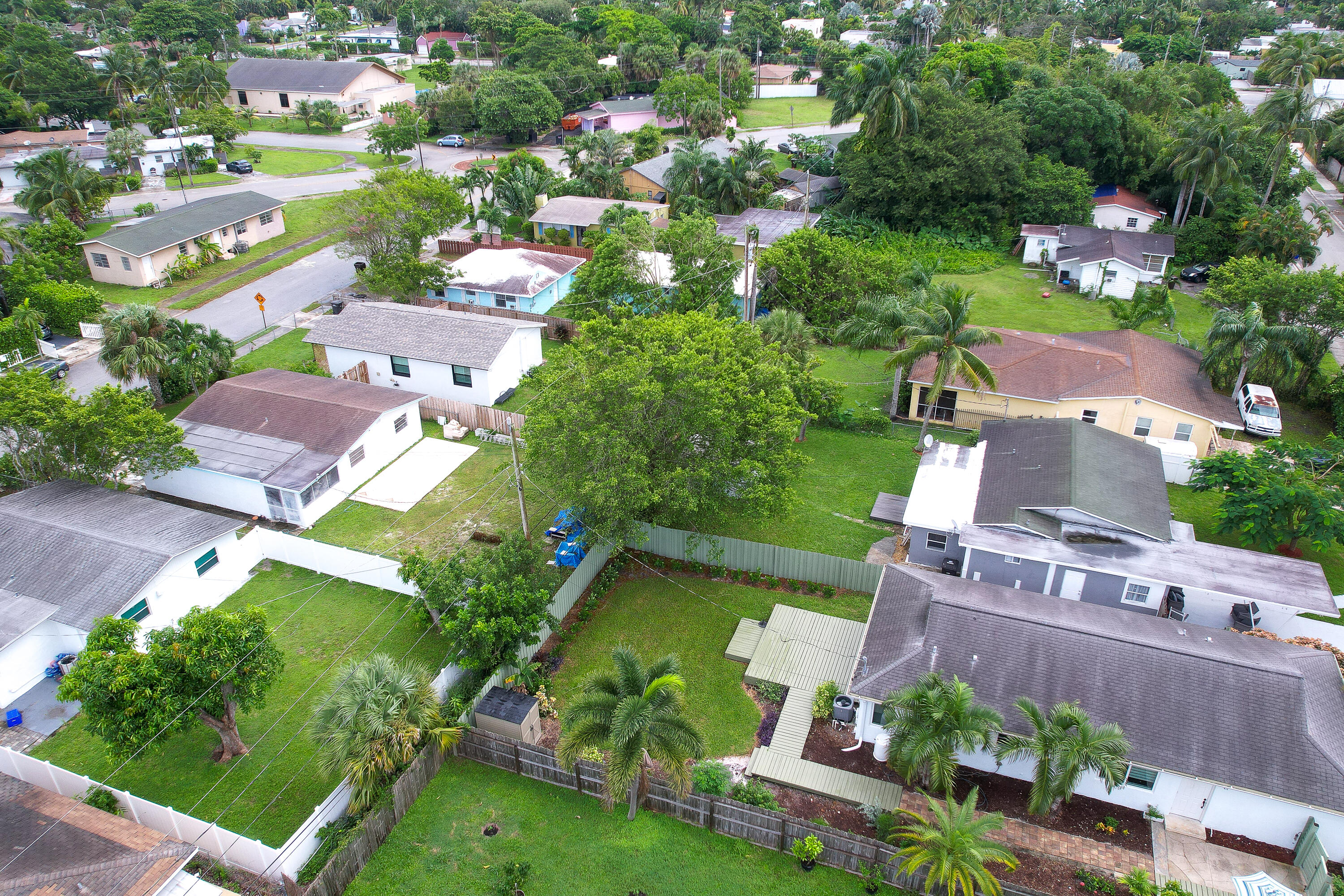 Aerial view of palm-lined homes, fenced yards, and green lawns in a residential neighborhood.