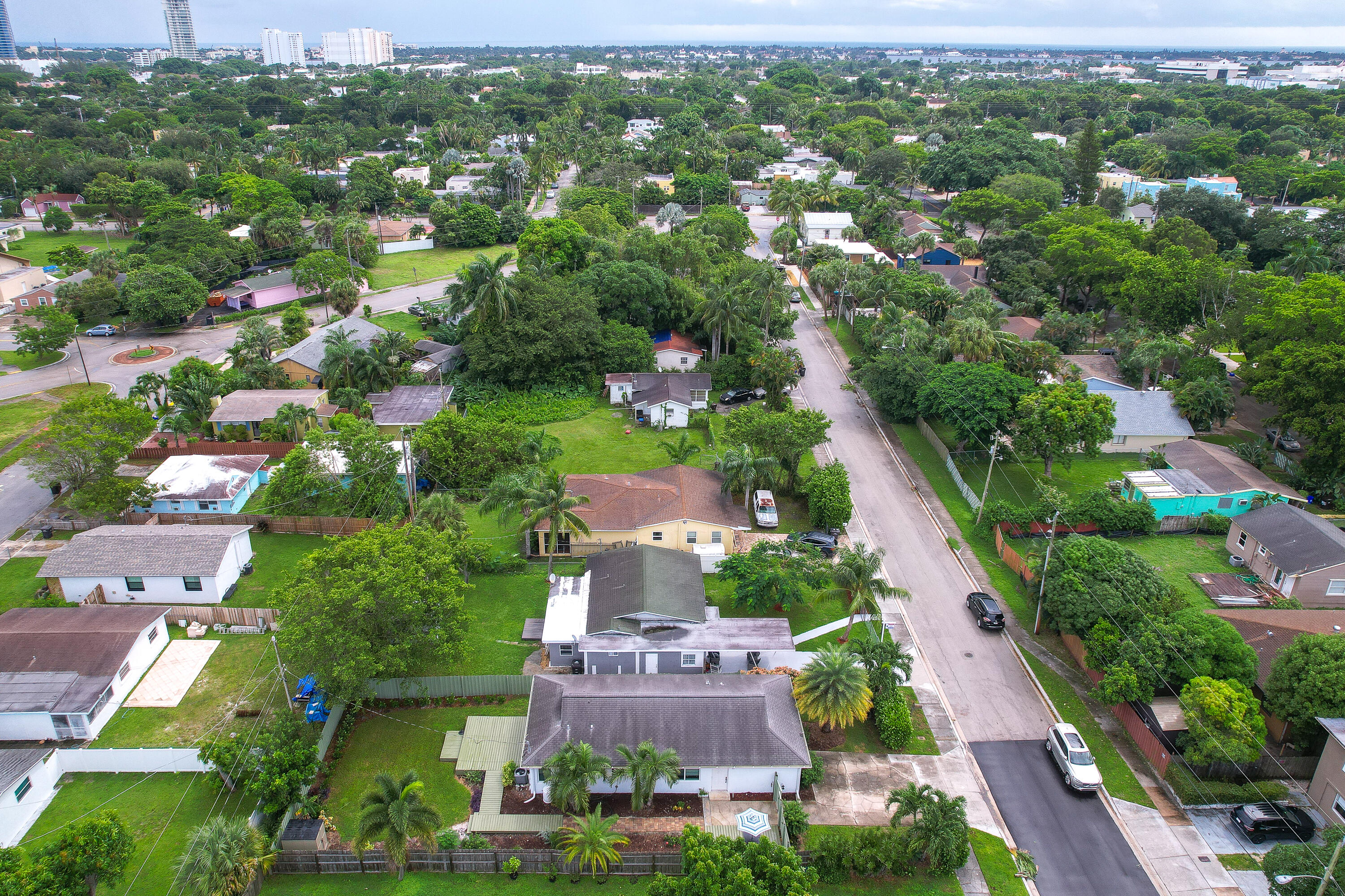 Aerial view of a leafy residential neighborhood with homes, a broad street, and distant high-rises.