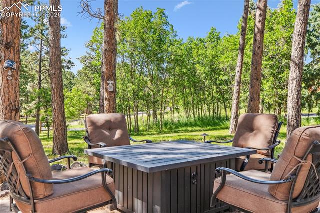 18971 Shadowood Drive