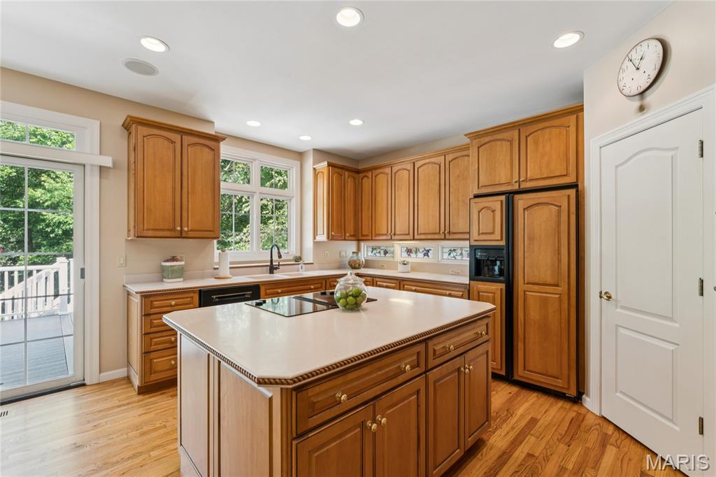 15903 Picardy Meadow Court