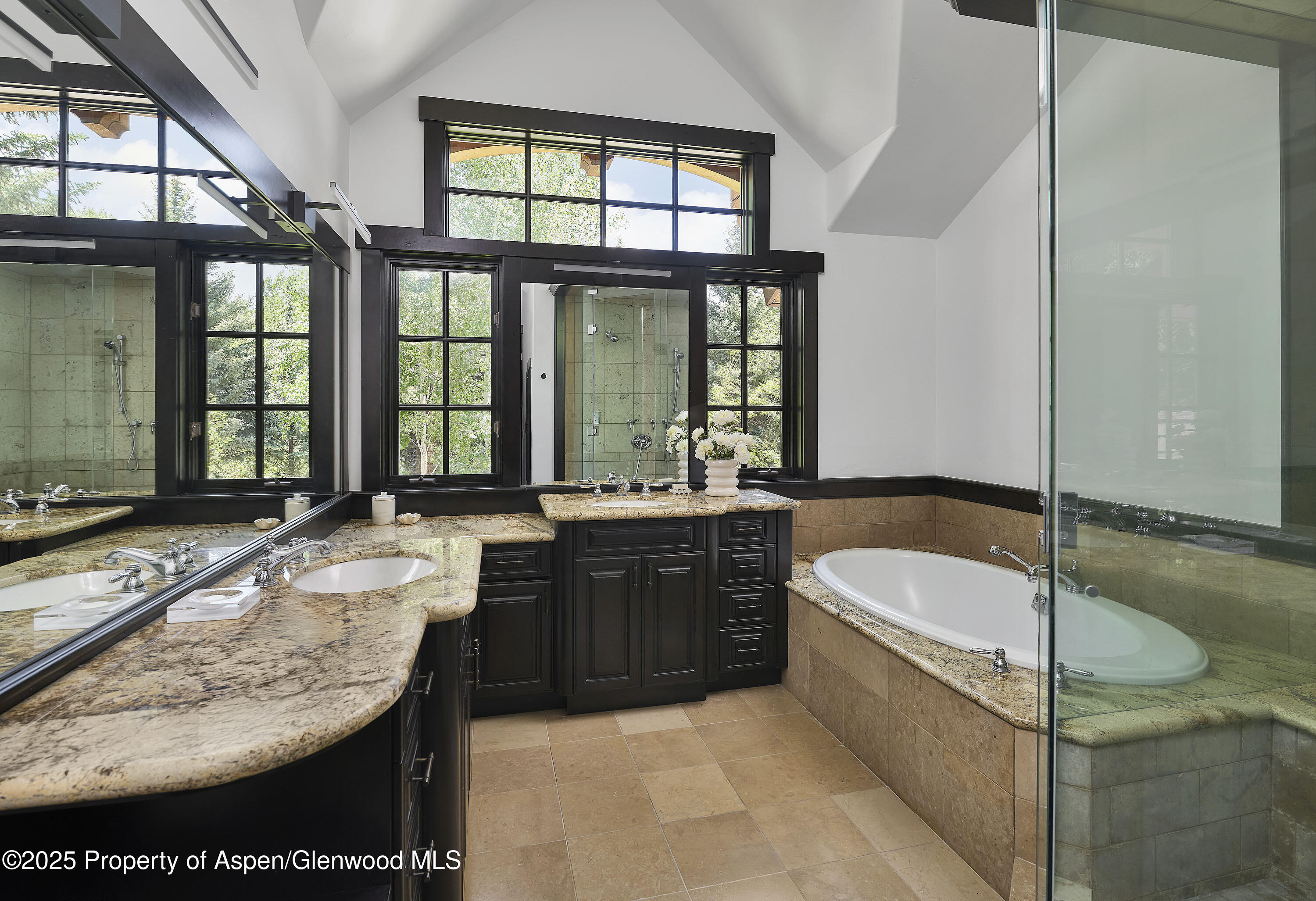 1430 Silver King Drive, Aspen