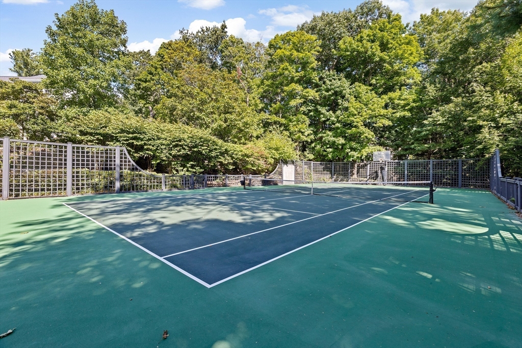 30 Black Horse Ln