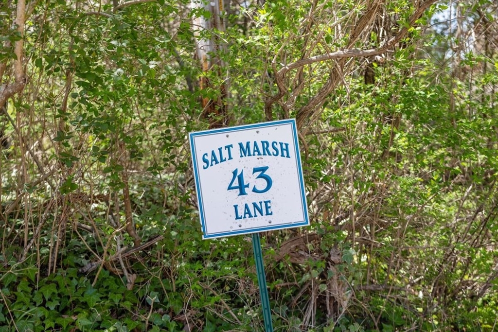 43 Salt Marsh Ln