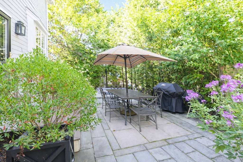 12 Lafayette Ave