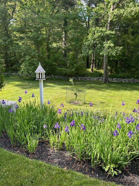 71 Clubhouse Drive # 71