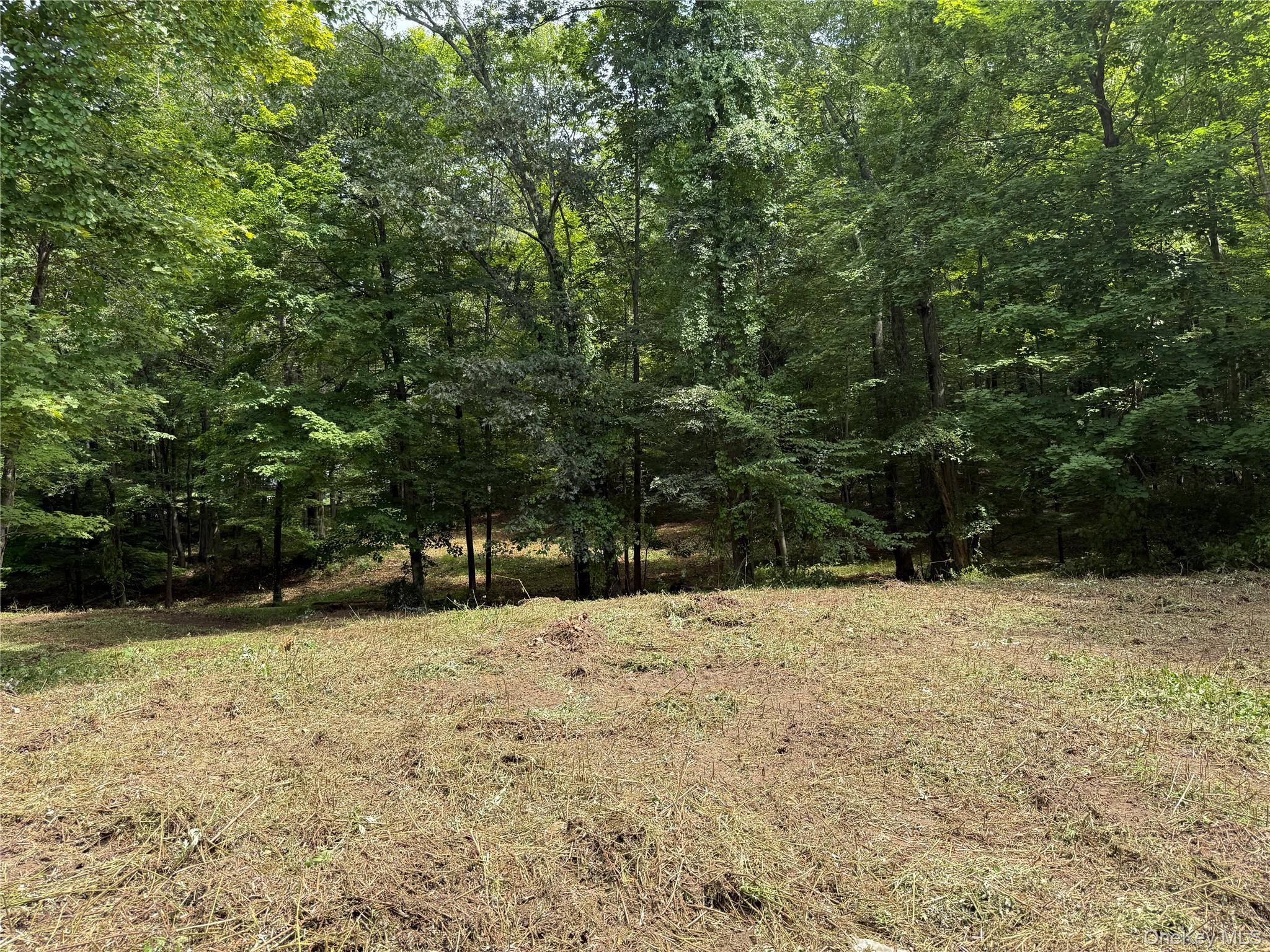 334 Bedford Banksville Road