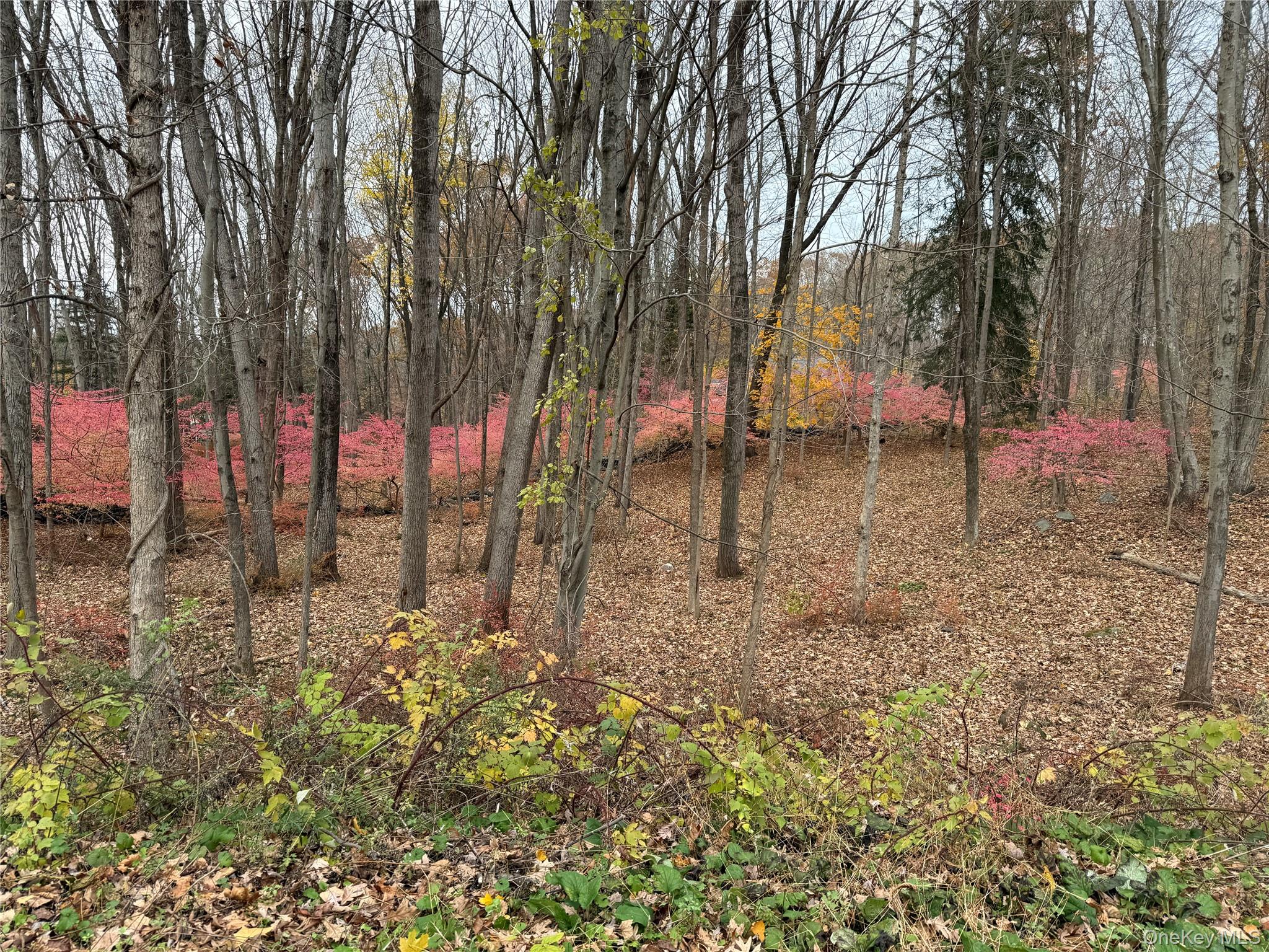 334 Bedford Banksville Road