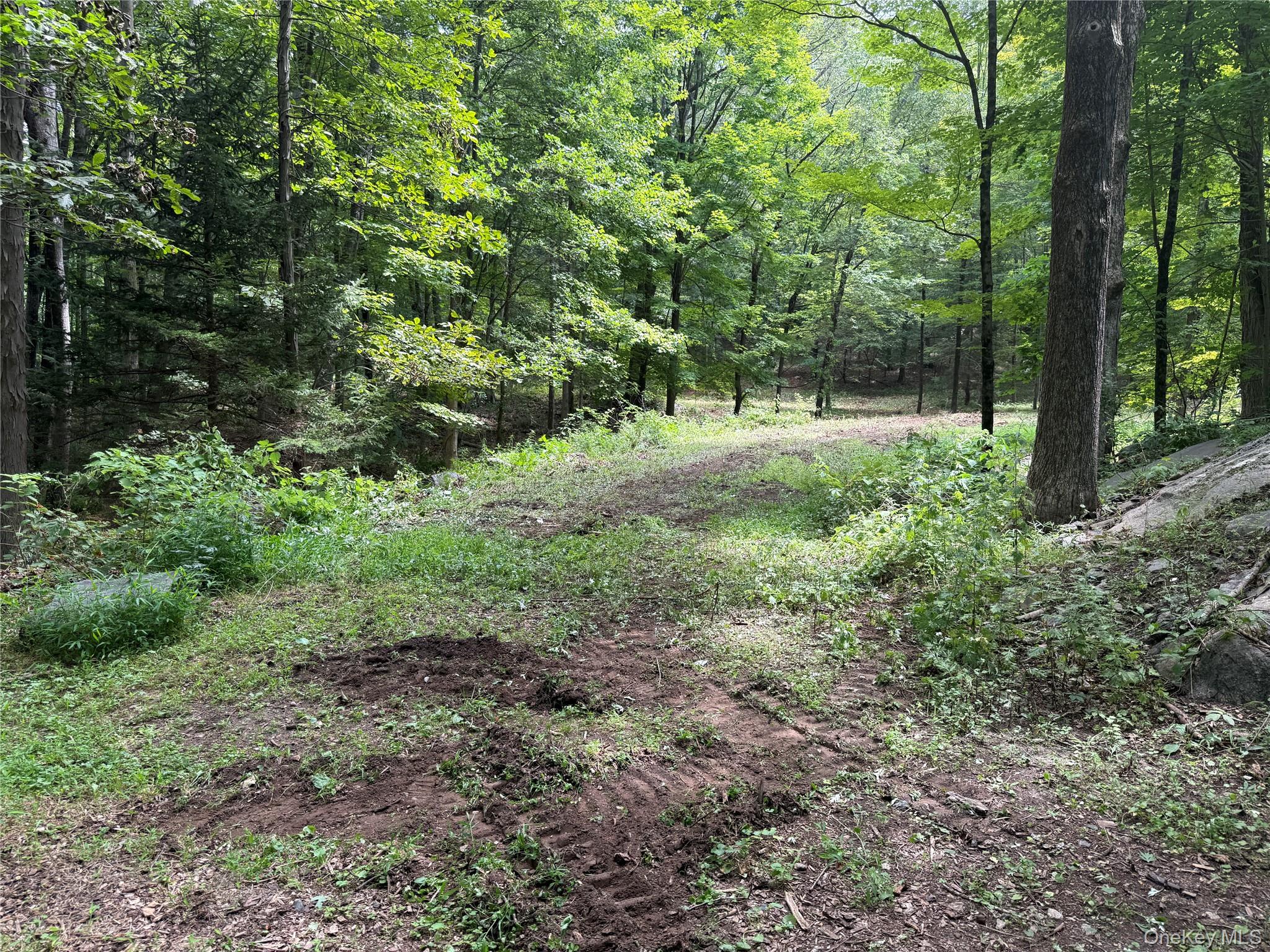 334 Bedford Banksville Road