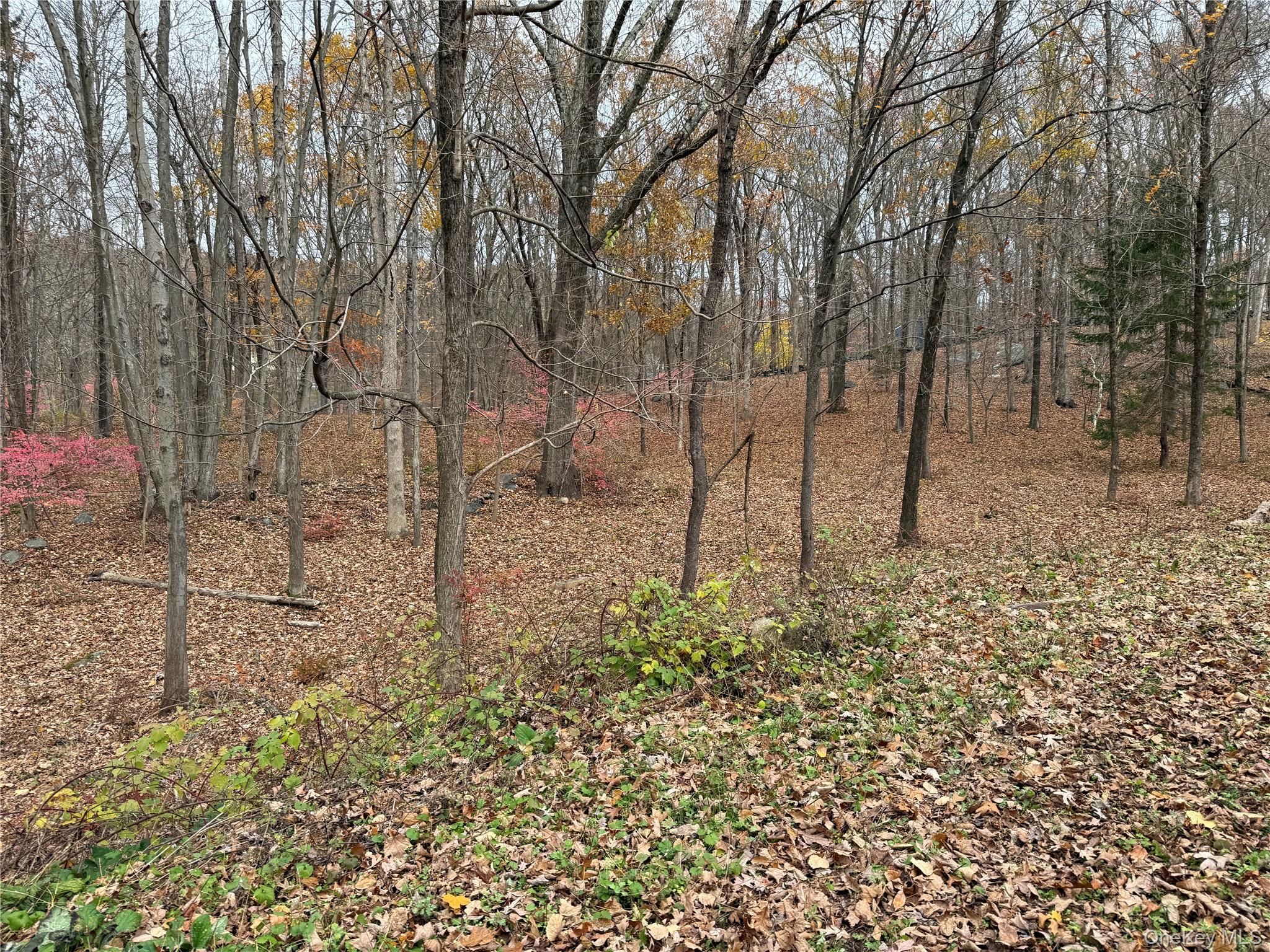 334 Bedford Banksville Road