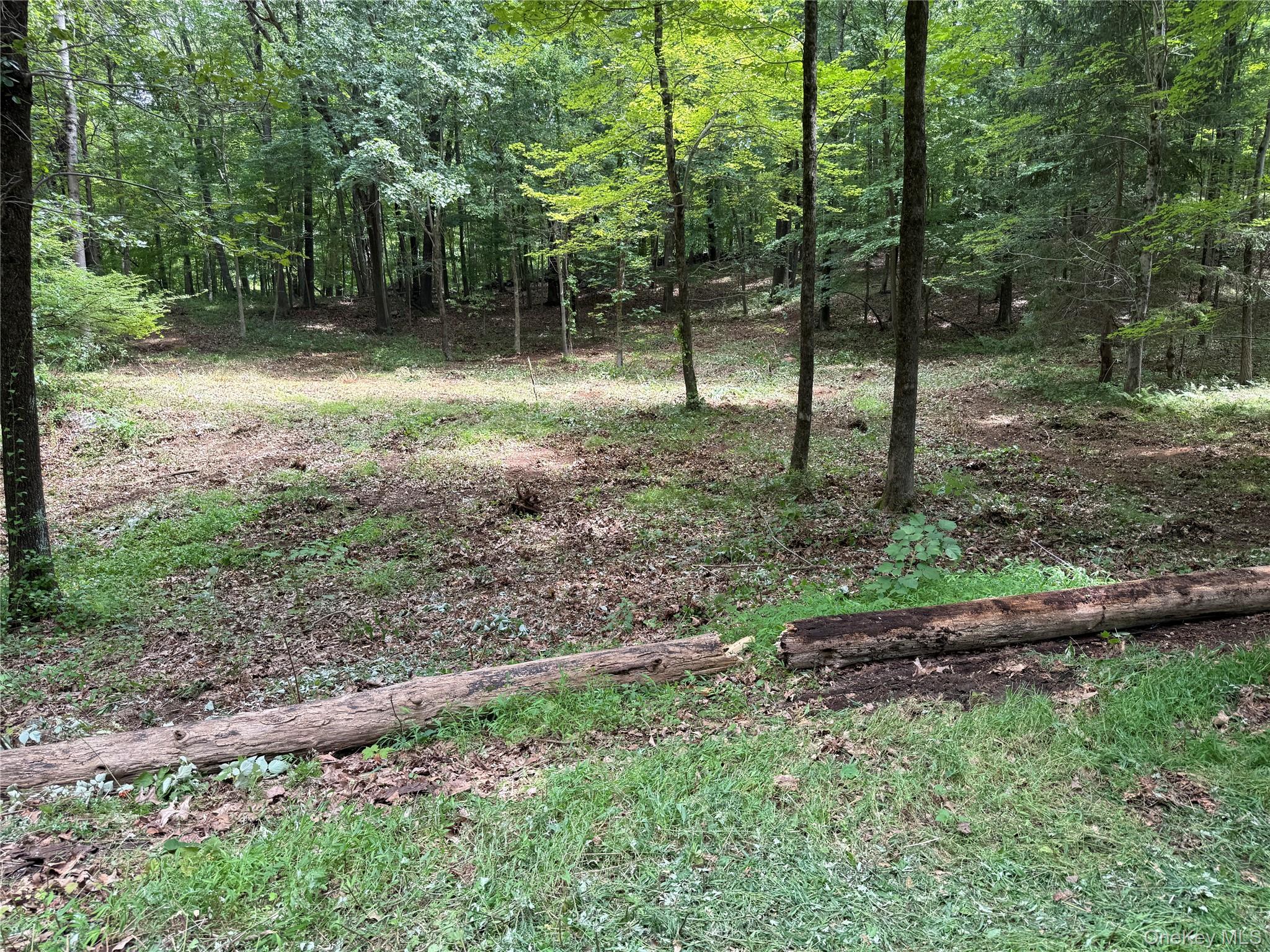 334 Bedford Banksville Road