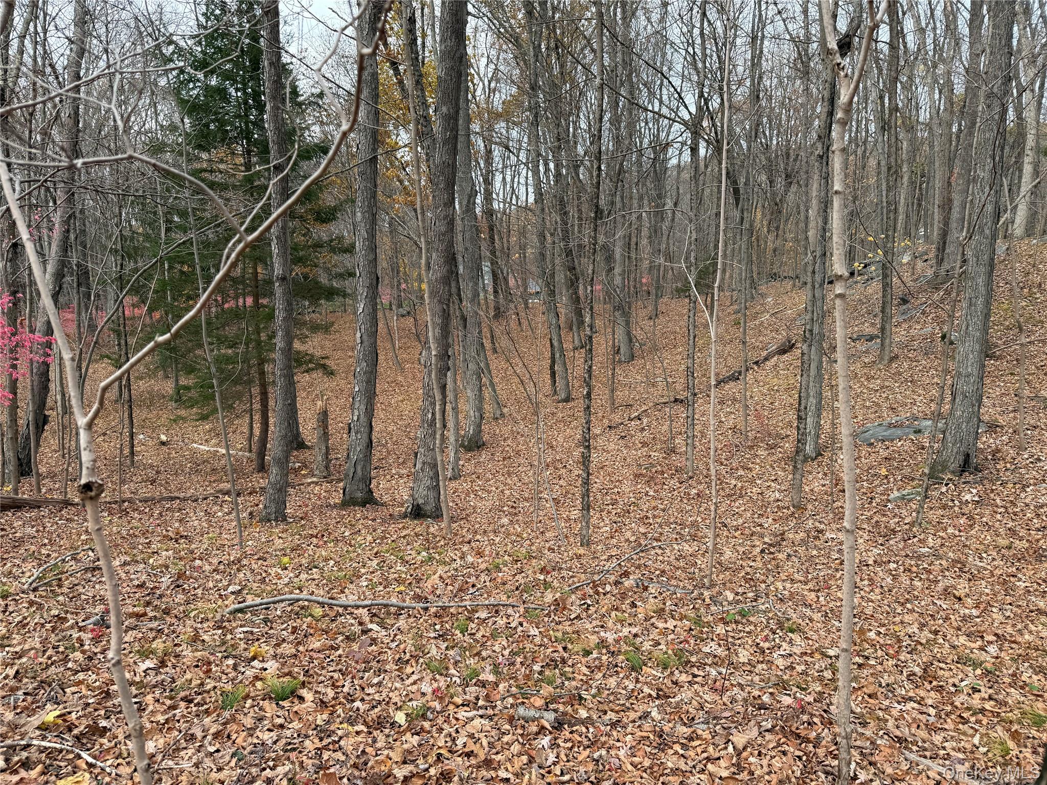 334 Bedford Banksville Road