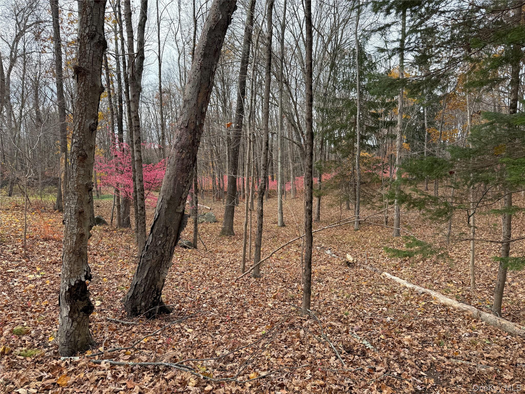 334 Bedford Banksville Road